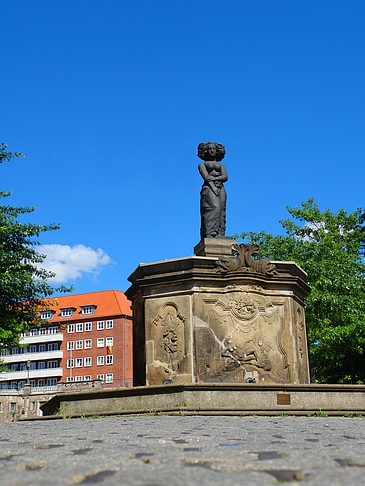 Foto Fischmarktbrunnen Minerva - Hamburg