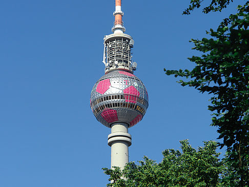 Fernsehturm und Bäume Foto 