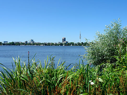 Schöne Aussicht Fotos