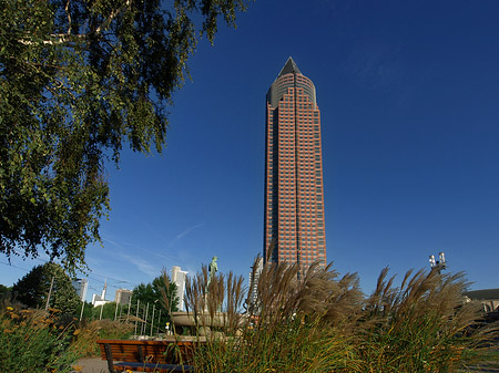 Fotos Messeturm auf Wiese | Frankfurt am Main