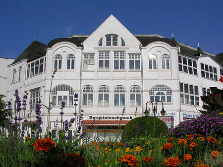 Fotos Seebrücke Binz