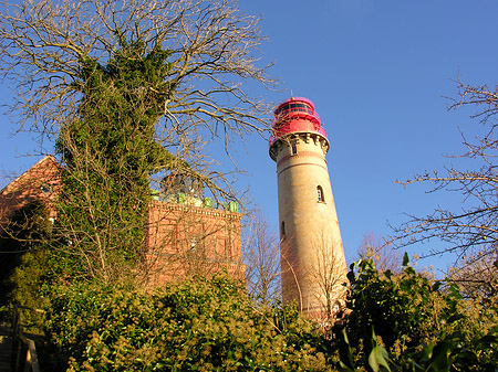 Bäume