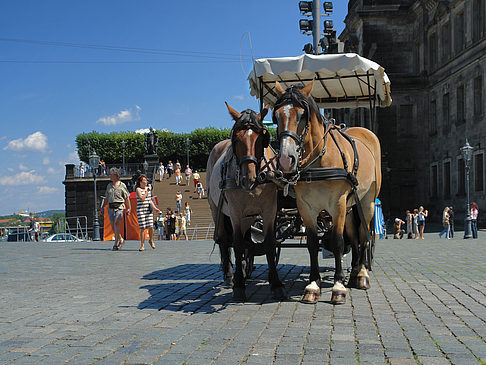 Pferdekutsche Foto 