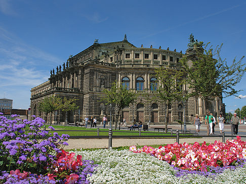 Foto Semperoper mit Blumen - Dresden
