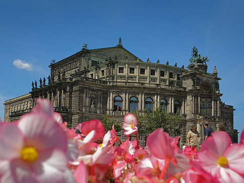 Semperoper mit Blumen Foto 